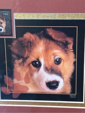 Postal Stamp and Framed Brown and White Dog Portrait